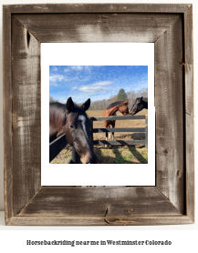 horseback riding near me in Westminster, Colorado